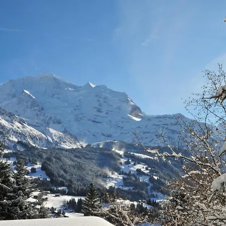 Apartment Eden Apt-D By Interhome * Wengen